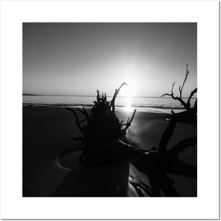 Black and White Sunrise Posters and Art